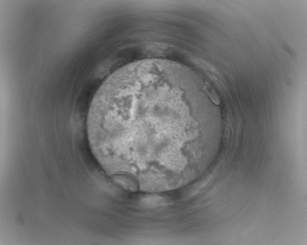 X0000115300759200911231309