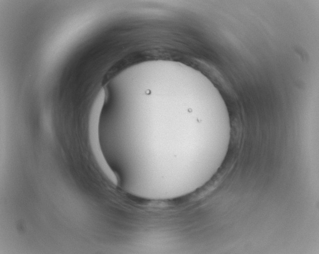 X0000115300762200911231309