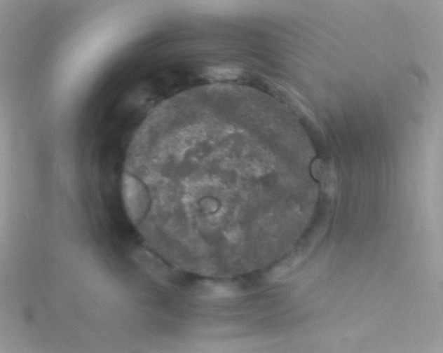 X0000115300763200911231309