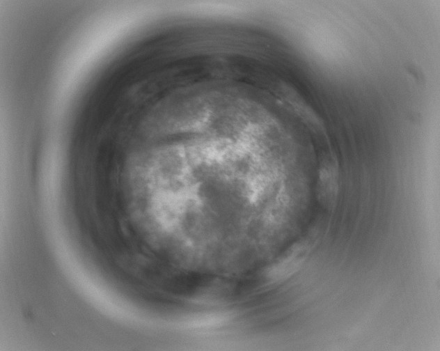 X0000115300765200911231309