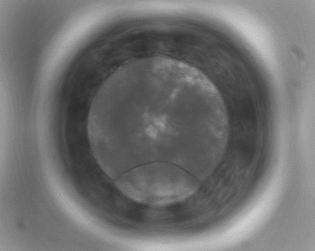 X0000115300766200911231309