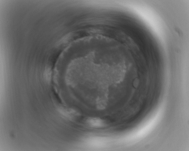 X0000115300767200911231309