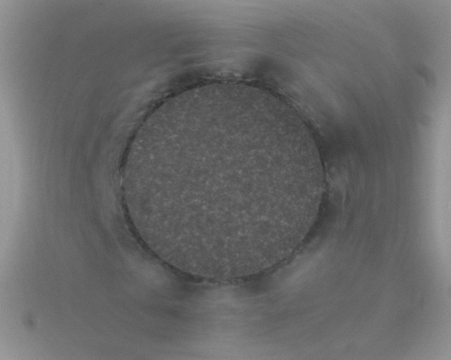 X0000115300769200911231308