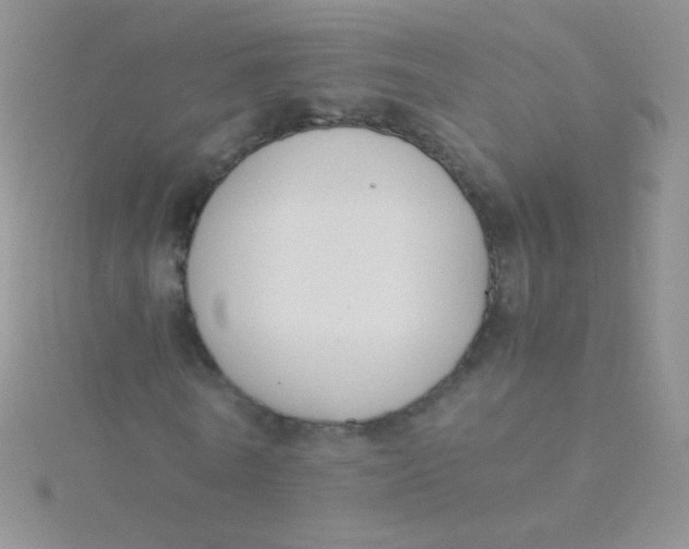 X0000115300770200911231308