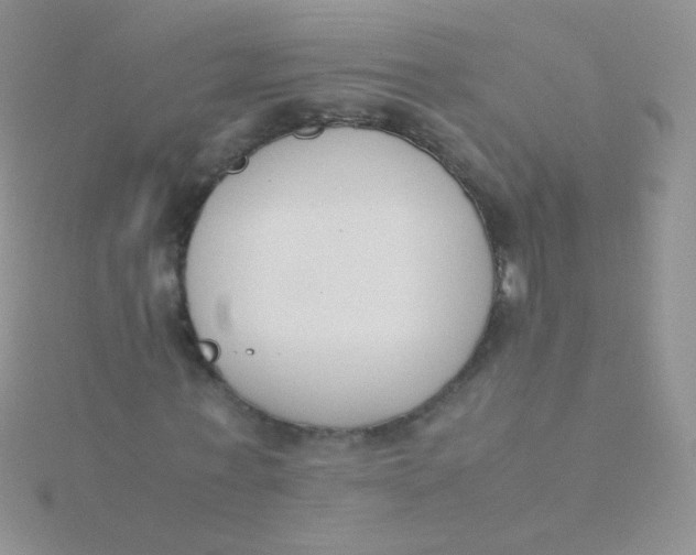 X0000115300771200911231308