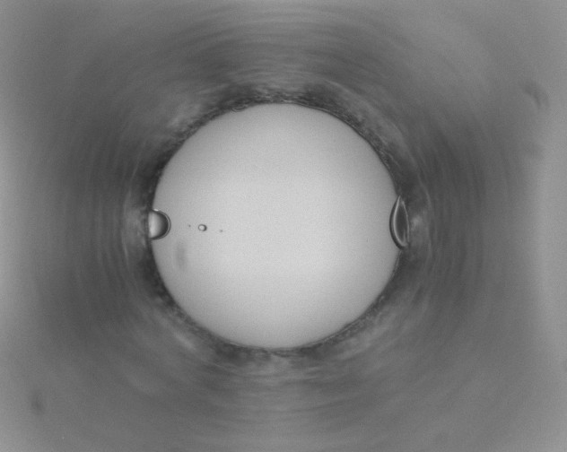 X0000115300772200911231308