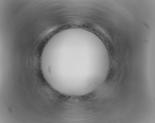 X0000115300773200911231308