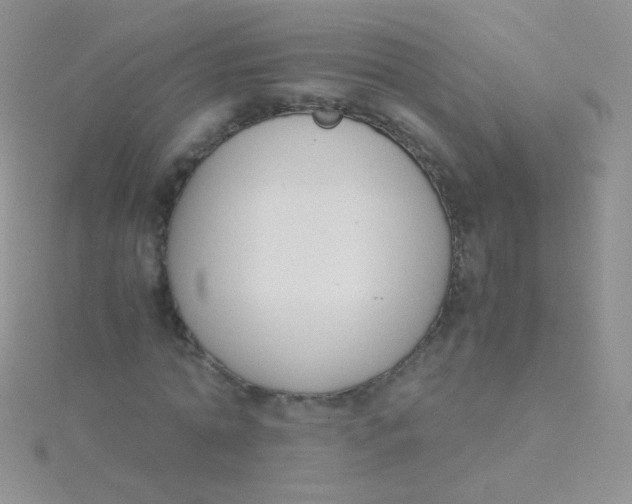 X0000115300774200911231308