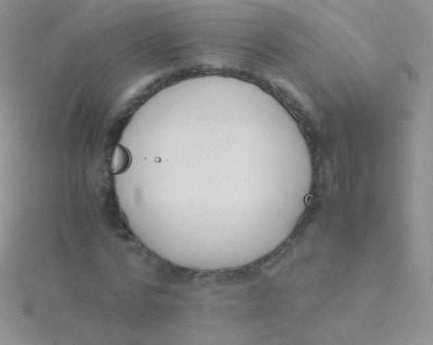 X0000115300776200911231308