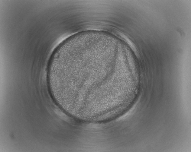 X0000115300779200911231308