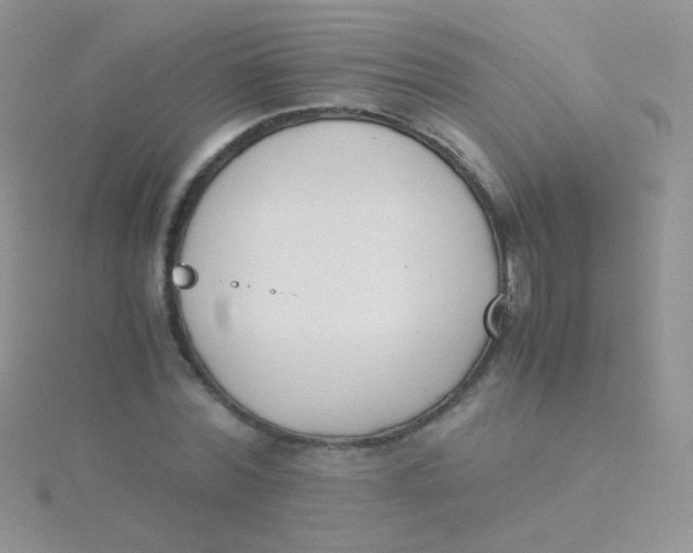 X0000115300780200911231308