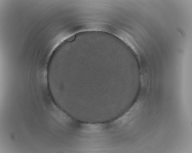 X0000115300781200911231308