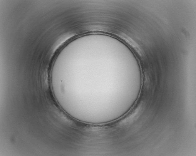 X0000115300782200911231308