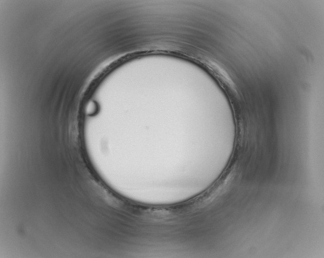 X0000115300784200911231308