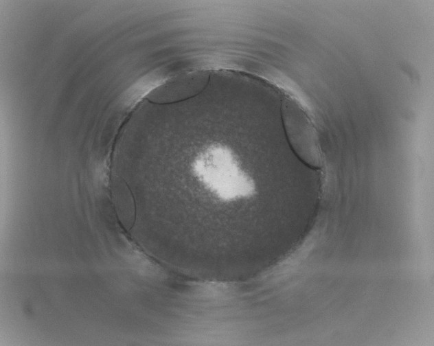 X0000115300785200911231308