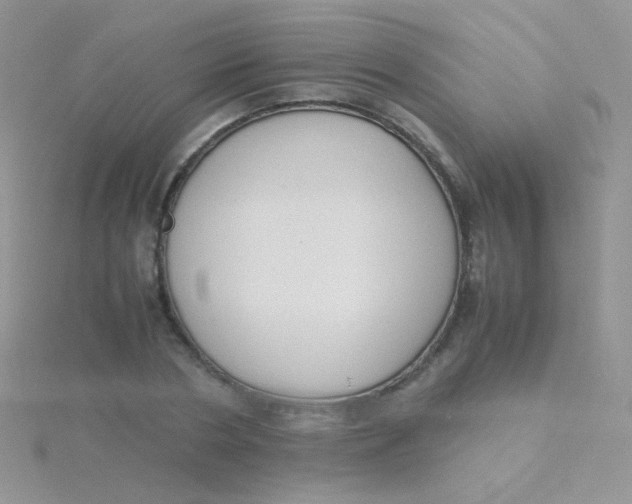 X0000115300786200911231308