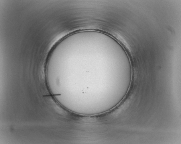 X0000115300789200911231308