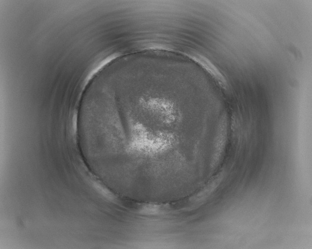 X0000115300790200911231308