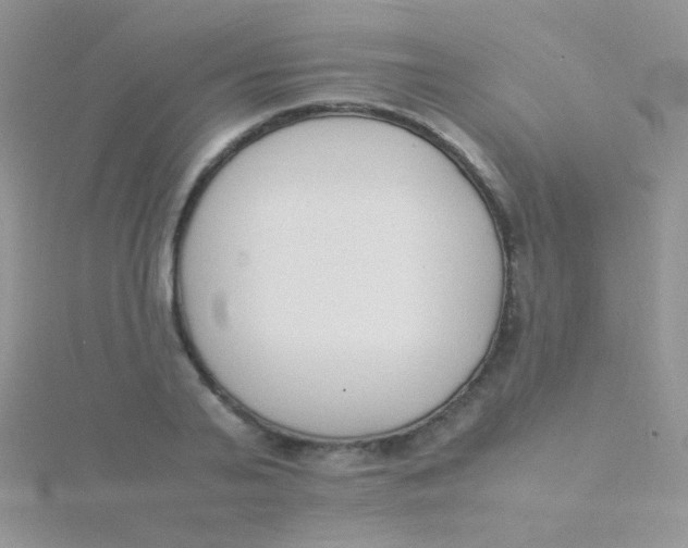 X0000115300791200911231308