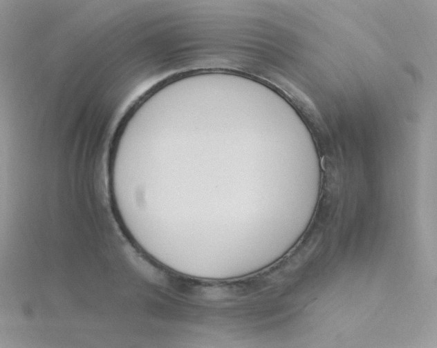 X0000115300792200911231308