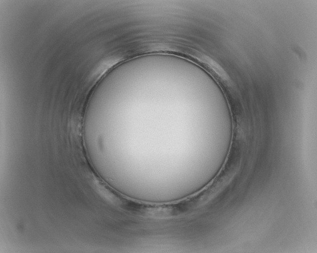 X0000115300793200911231308