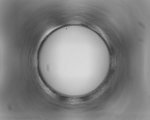 X0000115300795200911231308