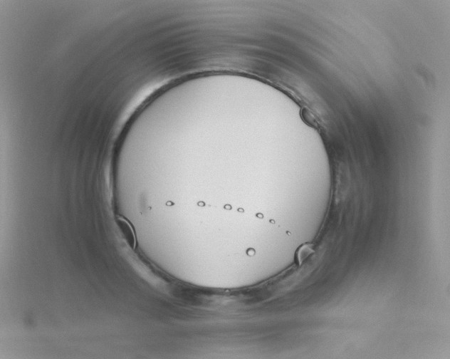 X0000115300796200911231308