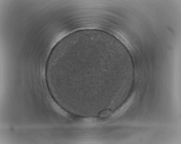 X0000115300797200911231308