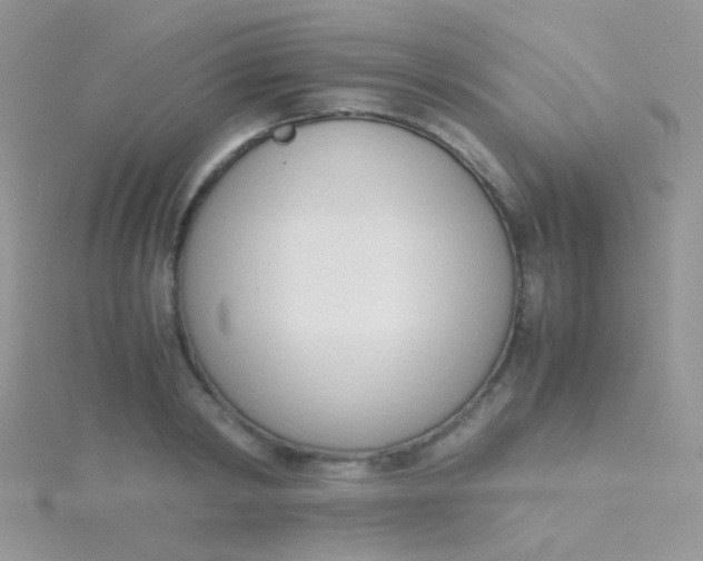 X0000115300798200911231308