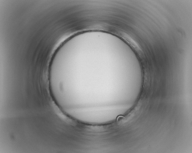 X0000115300800200911231308