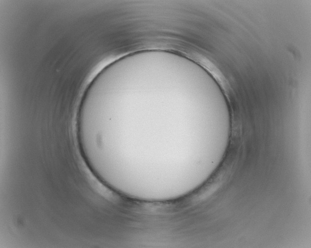 X0000115300803200911231308