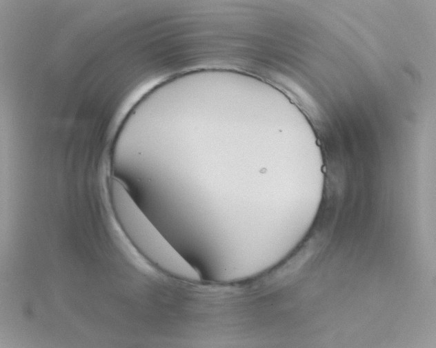 X0000115300804200911231308