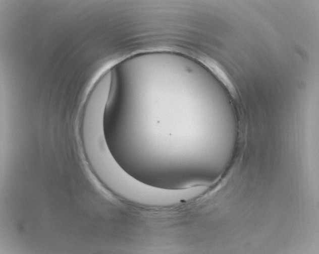 X0000115300805200911231308