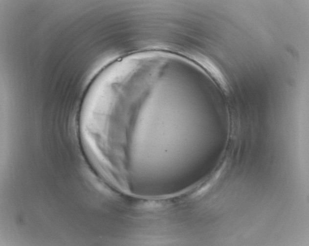 X0000115300806200911231308