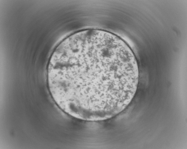 X0000115300807200911231308