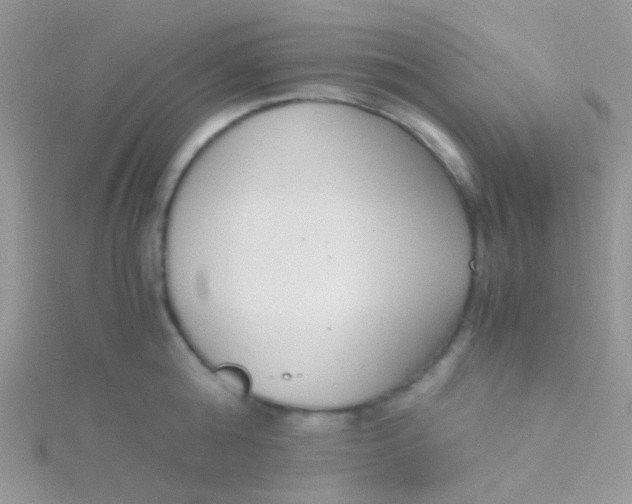 X0000115300808200911231308