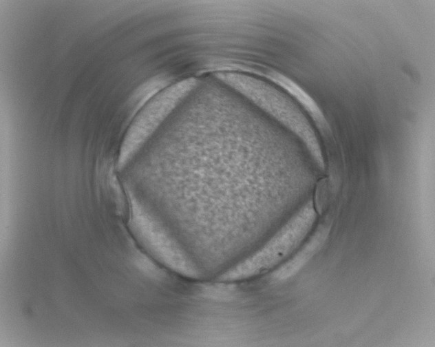 X0000115300809200911231308