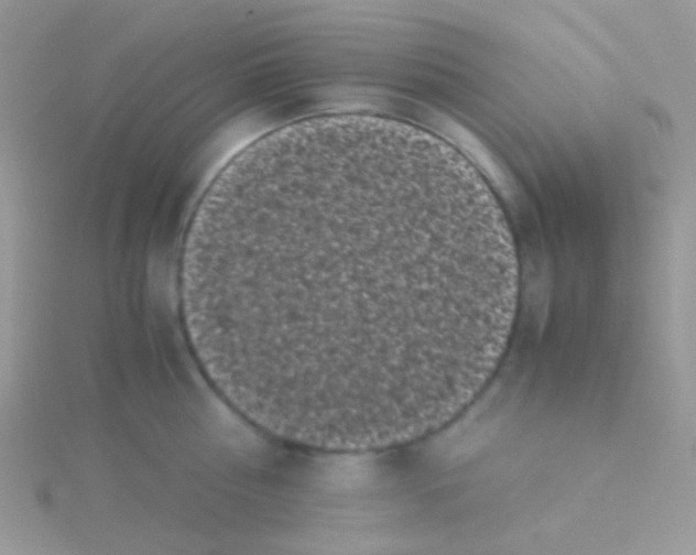 X0000115300810200911231308