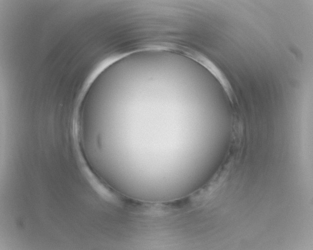 X0000115300811200911231308