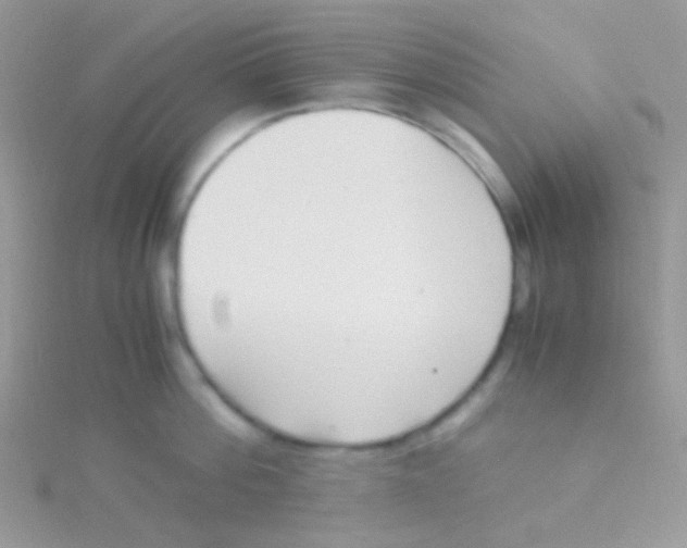 X0000115300812200911231308