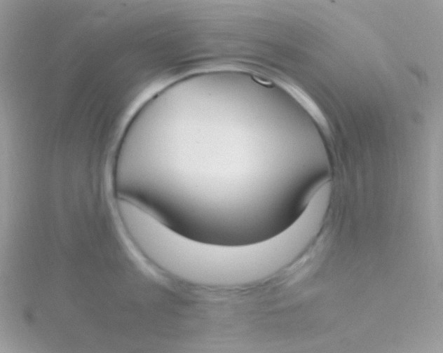 X0000115300813200911231308