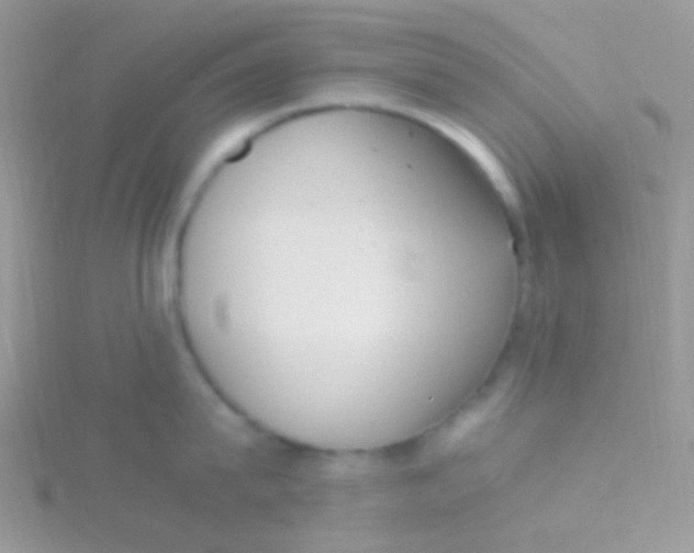 X0000115300815200911231308