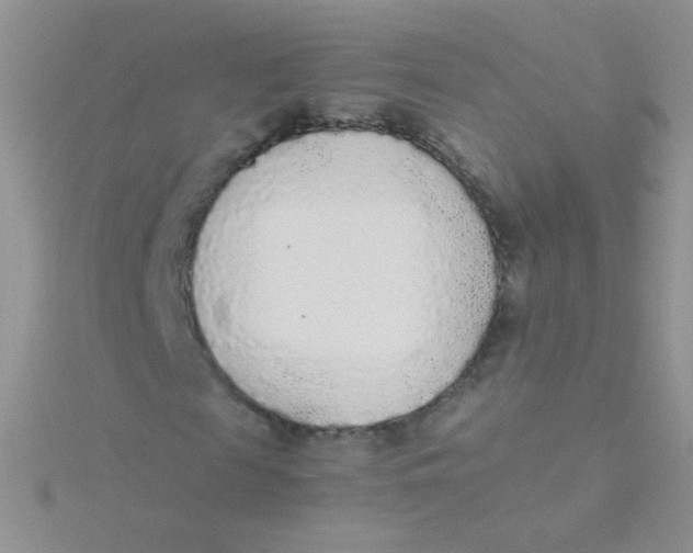 X0000115300817200911231307