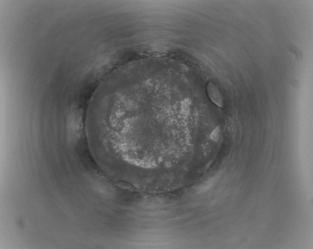 X0000115300818200911231307