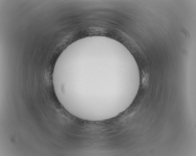 X0000115300819200911231307