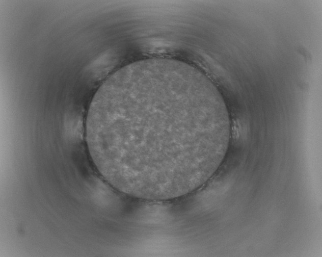 X0000115300820200911231307