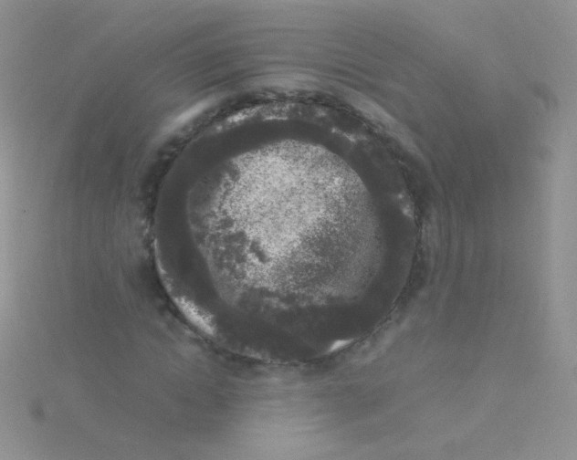 X0000115300822200911231307