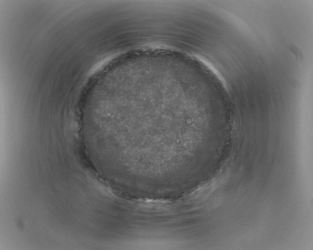 X0000115300823200911231307