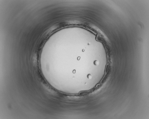 X0000115300825200911231307