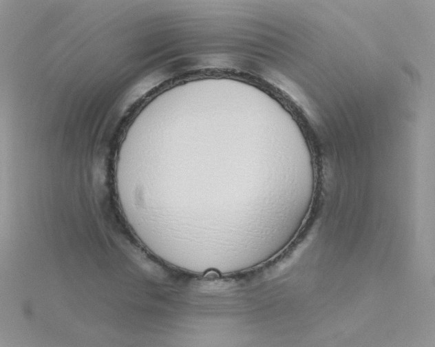 X0000115300826200911231307